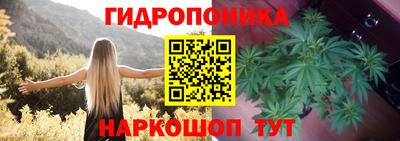 СК Балаково