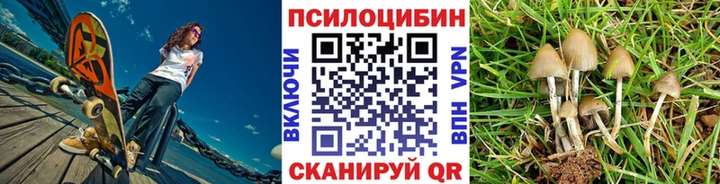 Галлюциногенные грибы MAGIC MUSHROOMS  закладка  hydra зеркало  Балабаново 