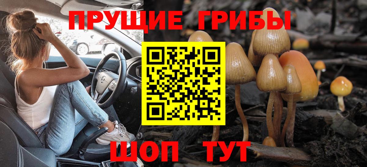 Балабаново  Галлюциногенные грибы прущие грибы  Вход с VPN  Галлюциногенные грибы мицелий 